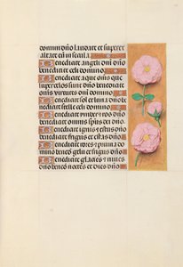 女王イザベラカトリック、スペイン女王の時間：フォル。 119r、c。 1500。 作： Master of the First Prayerbook of Maximillian
