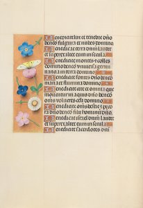 女王イザベラカトリック、スペイン女王の時間：フォル。 119v、c。 1500。 作： Master of the First Prayerbook of Maximillian