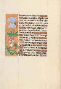 スペイン女王イザベラの時間：  フォル120v 作： Master of the First Prayerbook of Maximillian
