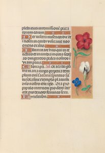 スペイン女王イザベラ女王の時間：フォル。 124r、c。 1500。 作： Master of the First Prayerbook of Maximillian