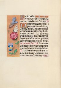 女王イザベラカトリック、スペイン女王の時間：フォル。 124v、c。 1500。 作： Master of the First Prayerbook of Maximillian