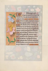 スペイン女王イザベラ女王の時間：フォル。 127v、c。 1500。 作： Master of the First Prayerbook of Maximillian
