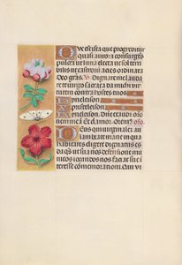 スペイン女王イザベラ女王の時間：フォル。 129v、c。 1500。 作： Master of the First Prayerbook of Maximillian