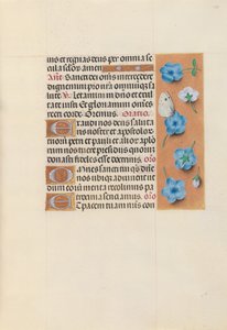 女王イザベラカトリック、スペイン女王の時間：フォル。 130r、c。 1500。 作： Master of the First Prayerbook of Maximillian