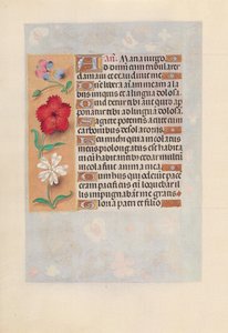 女王イザベラカトリック、スペイン女王の時間：フォル。 132v、c。 1500。 作： Master of the First Prayerbook of Maximillian