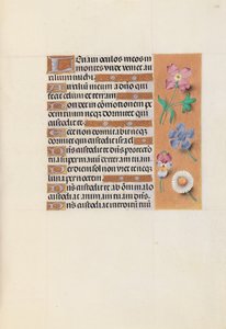 女王イザベラカトリック、スペイン女王の時間：フォル。 133r、c。 1500。 作： Master of the First Prayerbook of Maximillian