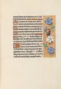 女王イザベラカトリック、スペイン女王の時間：フォル。 134r、c。 1500。 作： Master of the First Prayerbook of Maximillian