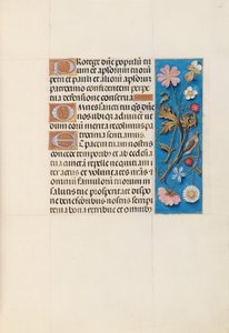 スペイン女王イザベラ女王の時間：フォル。 135r、c。 1500。 作： Master of the First Prayerbook of Maximillian