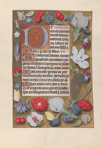 女王イザベラカトリック、スペイン女王の時間：フォル。 137r、c。 1500。 作： Master of the First Prayerbook of Maximillian