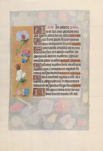 女王イザベラカトリック、スペイン女王の時間：フォル。 137v、c。 1500。 作： Master of the First Prayerbook of Maximillian