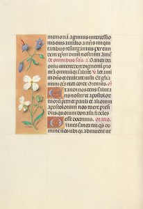 女王イザベラカトリック、スペイン女王の時間：フォル。 139v、c。 1500。 作： Master of the First Prayerbook of Maximillian