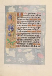 女王イザベラカトリック、スペイン女王の時間：フォル。 142v、c。 1500。 作： Master of the First Prayerbook of Maximillian