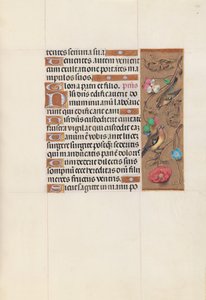 スペインの女王、カトリックのイザベラ女王の時間：Fol。 143r、c。 1500。 作： Master of the First Prayerbook of Maximillian