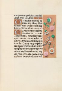 女王イザベラカトリック、スペイン女王の時間：フォル。 145r、c。 1500。 作： Master of the First Prayerbook of Maximillian