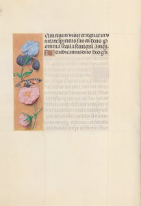 女王イザベラカトリック、スペイン女王の時間：フォル。 145v、c。 1500。 作： Master of the First Prayerbook of Maximillian