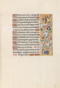 女王イザベラカトリック、スペイン女王の時間：フォル。 148r、c。 1500。 作： Master of the First Prayerbook of Maximillian