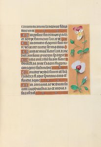 女王イザベラカトリック、スペイン女王の時間：フォル。 150r、c。 1500。 作： Master of the First Prayerbook of Maximillian