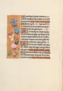 スペイン女王イザベラ女王の時間：フォル。 150v、c。 1500。 作： Master of the First Prayerbook of Maximillian