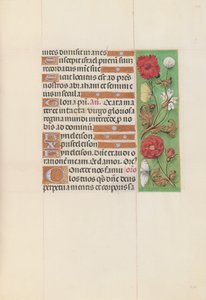女王イザベラカトリック、スペイン女王の時間：フォル。 152r、c。 1500。 作： Master of the First Prayerbook of Maximillian