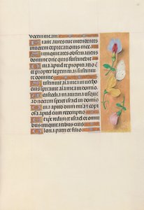 女王イザベラカトリック、スペイン女王の時間：フォル。 156r、c。 1500。 作： Master of the First Prayerbook of Maximillian
