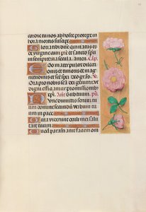 スペイン女王イザベラ女王の時間：フォル。 157r、c。 1500。 作： Master of the First Prayerbook of Maximillian