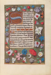 女王イザベラカトリック、スペイン女王の時間：フォル。 15r、c。 1500。 作： Master of the First Prayerbook of Maximillian