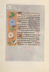 女王イザベラカトリック、スペイン女王の時間：フォル。 160v、c。 1500。 作： Master of the First Prayerbook of Maximillian