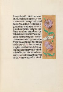女王イザベラカトリック、スペイン女王の時間：フォル。 163r、c。 1500。
