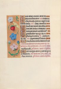 女王イザベラカトリック、スペイン女王の時間：フォル。 164v、c。 1500。 作： Master of the First Prayerbook of Maximillian
