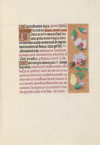 スペイン女王イザベラ女王の時間：フォル。 165r、c。 1500。 作： Master of the First Prayerbook of Maximillian