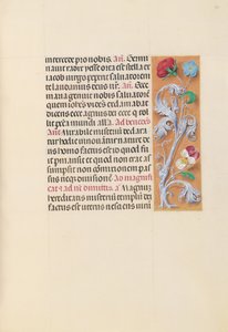 女王イザベラカトリック、スペイン女王の時間：フォル。 166r、c。 1500。 作： Master of the First Prayerbook of Maximillian