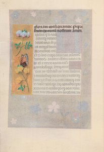 女王イザベラカトリック、スペイン女王の時間：フォル。 174v、c。 1500。 作： Master of the First Prayerbook of Maximillian