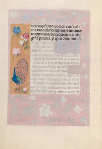 女王イザベラカトリック、スペイン女王の時間：フォル。 180v、c。 1500。 作： Master of the First Prayerbook of Maximillian