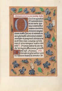 女王イザベラカトリック、スペイン女王の時間：フォル。 182r、c。 1500。 作： Master of the First Prayerbook of Maximillian