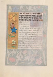 女王イザベラカトリック、スペイン女王の時間：フォル。 192v、c。 1500。 作： Master of the First Prayerbook of Maximillian