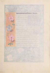 女王イザベラカトリック、スペイン女王の時間：フォル。 194v、c。 1500。 作： Master of the First Prayerbook of Maximillian