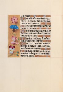 女王イザベラカトリック、スペイン女王の時間：フォル。 206v、c。 1500。 作： Master of the First Prayerbook of Maximillian