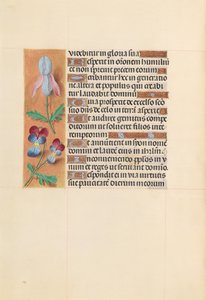スペイン女王イザベラ女王の時間：フォル。 207v、c。 1500。 作： Master of the First Prayerbook of Maximillian