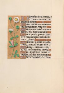 女王イザベラカトリック、スペイン女王の時間：フォル。 208v、c。 1500。 作： Master of the First Prayerbook of Maximillian