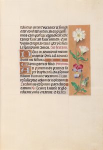 スペイン女王イザベラ女王の時間：フォル。 20r、c。 1500。 作： Master of the First Prayerbook of Maximillian