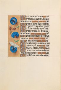 女王イザベラカトリック、スペイン女王の時間：フォル。 213v、c。 1500。 作： Master of the First Prayerbook of Maximillian