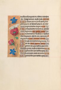 女王イザベラカトリック、スペイン女王の時間：フォル。 214v、c。 1500。 作： Master of the First Prayerbook of Maximillian