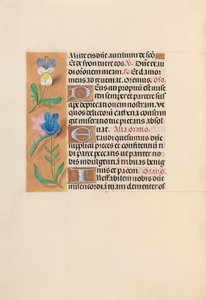 スペイン女王イザベラ女王の時間：フォル。 216v、c。 1500。 作： Master of the First Prayerbook of Maximillian