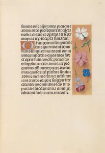 スペイン女王イザベラ女王の時間：フォル。 218r、c。 1500。 作： Master of the First Prayerbook of Maximillian