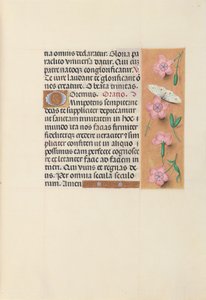 女王イザベラカトリック、スペイン女王の時間：フォル。 21r、c。 1500。 作： Master of the First Prayerbook of Maximillian