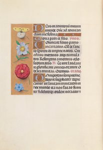 スペイン女王イザベラ女王の時間：フォル。 21v、c。 1500。 作： Master of the First Prayerbook of Maximillian
