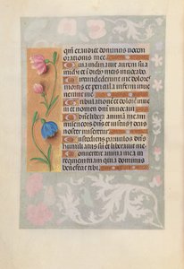 女王イザベラカトリック、スペイン女王の時間：フォル。 220v、c。 1500。 作： Master of the First Prayerbook of Maximillian