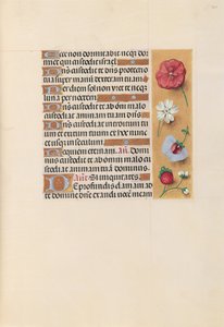 スペイン女王イザベラ女王の時間：フォル。 222r、c。 1500。 作： Master of the First Prayerbook of Maximillian