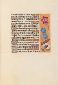 女王イザベラカトリック、スペイン女王の時間：フォル。 224r、c。 1500。 作： Master of the First Prayerbook of Maximillian