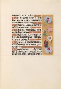 女王イザベラカトリック、スペイン女王の時間：フォル。 225r、c。 1500。 作： Master of the First Prayerbook of Maximillian